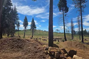 314 Osprey Loop, Lake Almanor, CA 96020 - Photo 6