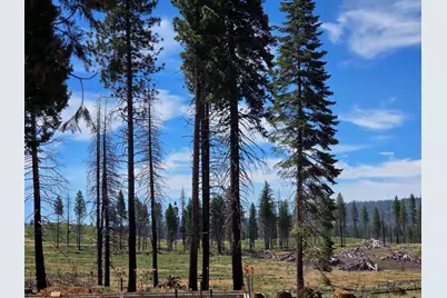 314 Osprey Loop, Lake Almanor West, CA 96020 - Photo 12