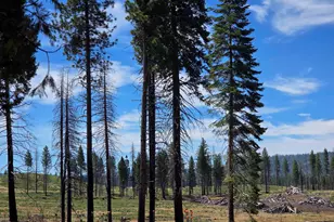 314 Osprey Loop, Lake Almanor West, CA 96020 - Photo 12