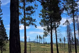 314 Osprey Loop, Lake Almanor, CA 96020 - Photo 8