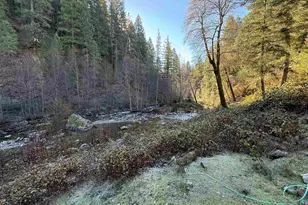 280 Gold Bluff Rd, Downieville, CA 95674 - Photo 2