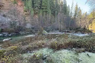 280 Gold Bluff Rd, Downieville, CA 95674 - Photo 4