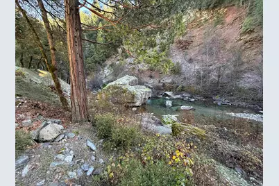 280 Gold Bluff Road, Downieville, CA 95674 - Photo 6