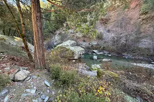 280 Gold Bluff Rd, Downieville, CA 95674 - Photo 6