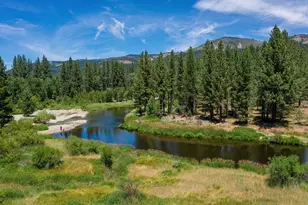 114 Bark Way, Clio, CA 96106 - Photo 48