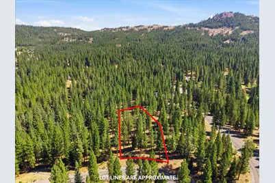 178 Bird Of Prey Lane, Portola, CA 96122 - Photo 8