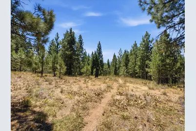 178 Bird Of Prey Lane, Portola, CA 96122 - Photo 4