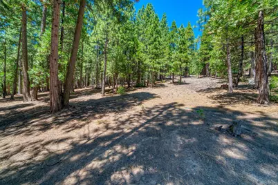 69467 Chipmunk Road, Blairsden, CA 96103 - Photo 36