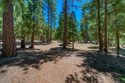 69467 Chipmunk Road, Blairsden, CA 96103 - Photo 46