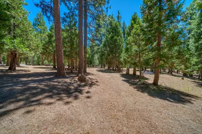 69467 Chipmunk Road, Blairsden, CA 96103 - Photo 48