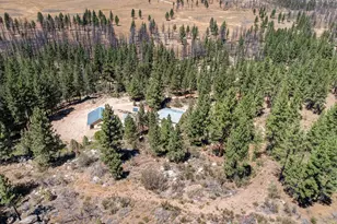 1100 Sugar Loaf Rd, Chilcoot, CA 96105 - Photo 46