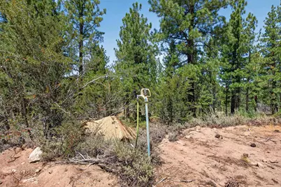 1100 Sugarloaf Road, Chilcoot, CA 96105 - Photo 40