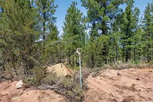 1100 Sugar Loaf Rd, Chilcoot, CA 96105 - Photo 40