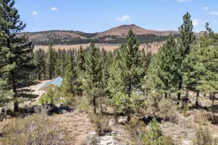 1100 Sugar Loaf Rd, Chilcoot, CA 96105 - Photo 50