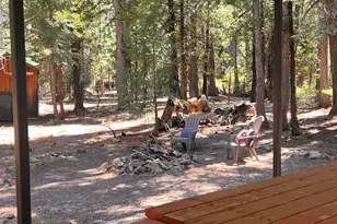 1001 Pinion Pine Trail, Johnsville, CA 96103 - Photo 6