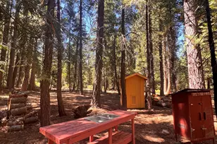1001 Pinion Pine Trail, Johnsville, CA 96103 - Photo 16