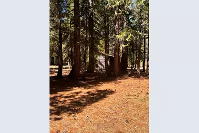 1001 Pinion Pine Trail, Johnsville, CA 96103 - Photo 8