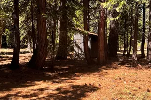 1001 Pinion Pine Trail, Johnsville, CA 96103 - Photo 8