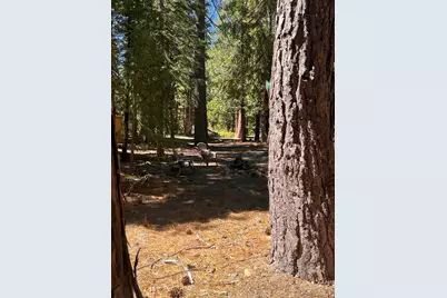 1001 Pinion Pine Trail, Johnsville, CA 96103 - Photo 12