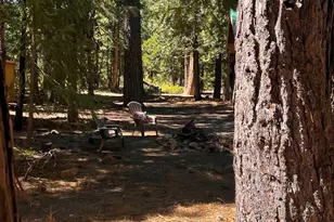 1001 Pinion Pine Trail, Johnsville, CA 96103 - Photo 12