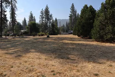 75 Mill Creek Road, Quincy, CA 95971 - Photo 30