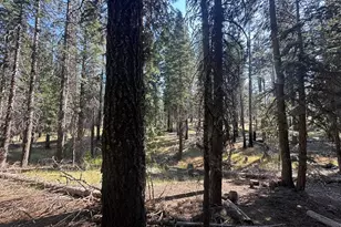 16 Feather River Homesites, Chester, CA 96020 - Photo 12