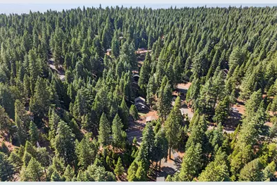 603 Lake Ridge Road, Lake Almanor, CA 96137 - Photo 44
