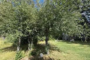 280 Pine St, Clio, CA 96106 - Photo 34