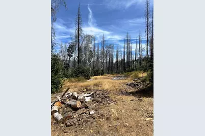 164 Standart Mine Road, Greenville, CA 95947 - Photo 4