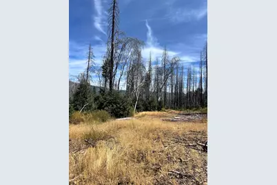 164 Standart Mine Road, Greenville, CA 95947 - Photo 2