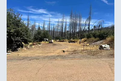 164 Standart Mine Road, Greenville, CA 95947 - Photo 6