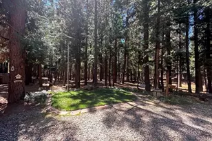 2182 Pine Cone Ln, Quincy, CA 95971 - Photo 38