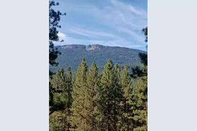 1800 Grey Squirrel Road, Clio, CA 96106 - Photo 1
