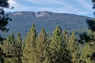 1800 Grey Squirrel Rd, Clio, CA 96106 - Photo 1