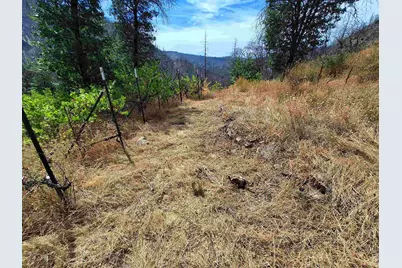 249 Thompson Avenue, Crescent Mills, CA 95934 - Photo 2