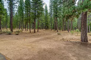 118 Fox Tail Ln, Clio, CA 96106 - Photo 50