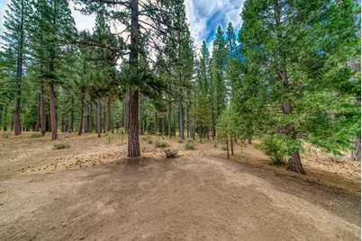 118 Fox Tail Lane, Clio, CA 96106 - Photo 48