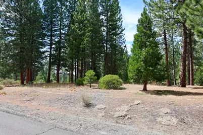 566 Red Sky, Portola, CA 96122 - Photo 6
