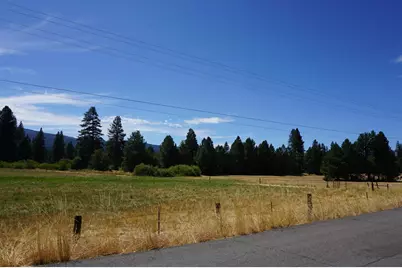 2254 Chandler Road, Quincy, CA 95971 - Photo 48