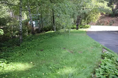 939 Bucks Lake Road, Quincy, CA 95971 - Photo 34