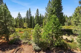 146 Bailey Creek Dr, Lake Almanor, CA 96137 - Photo 46