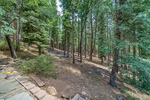 1910 Pathfinder Trail, Quincy, CA 95971 - Photo 40