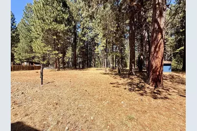 620 Pineleaf Drive, Meadow Valley, CA 95956 - Photo 22