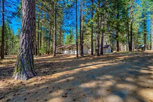 197 Portola McLears Road A-15, Clio, CA 96106 - Photo 4