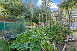 400 1st St, Quincy, CA 95971 - Photo 38