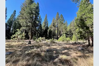 1651 Woodpecker Road, Clio, CA 96106 - Photo 36