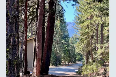 1651 Woodpecker Road, Clio, CA 96106 - Photo 32