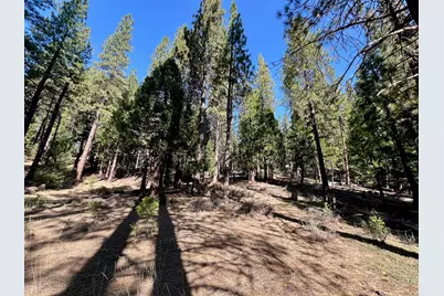1651 Woodpecker Road, Clio, CA 96106 - Photo 20