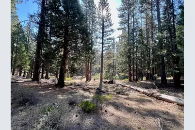 1651 Woodpecker Road, Clio, CA 96106 - Photo 24