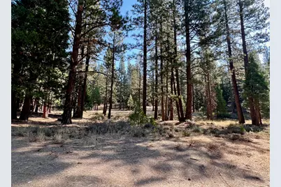 1651 Woodpecker Road, Clio, CA 96106 - Photo 8